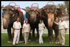 Have Trunk Will Travel Image