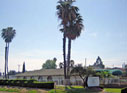 Orange Crest Club Image