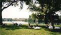 Prado Regional Park Image